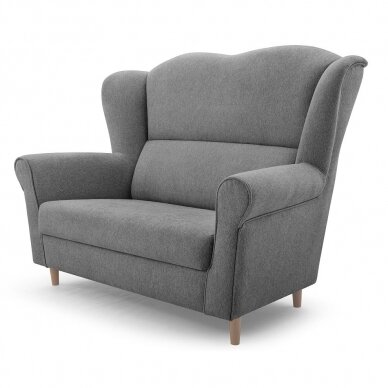 Dvivietė sofa 1